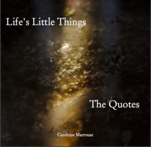 Cendrine Marrouat Life's Little Things cover